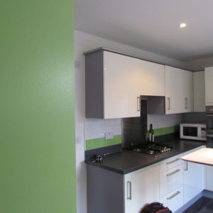 Green kitchen in Horsham